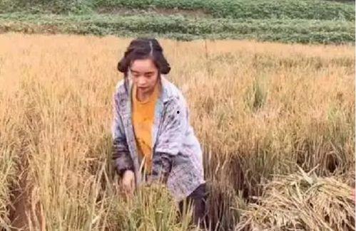 大叔黄琴最新爆料,大叔黄琴最新爆料,带你走进娱乐圈不为人知的真相