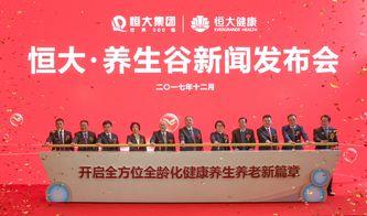 最新恒大爆料新闻报道,揭秘债务危机背后的真相